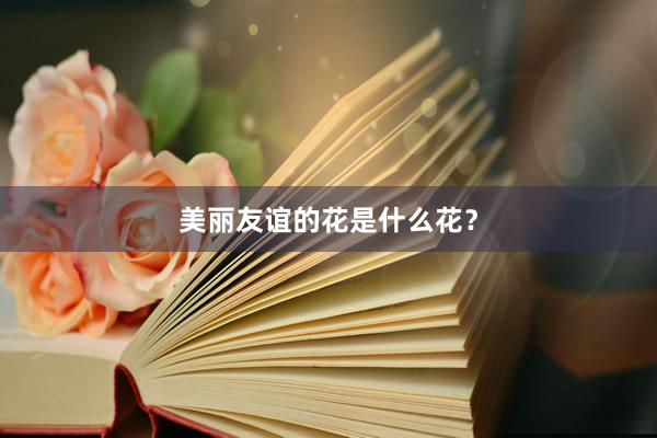 美丽友谊的花是什么花？